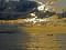 Flysch
