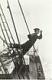 Squalus
