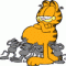 garfield
