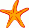Starfish
