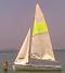 DELFINLER
