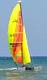 Paccat