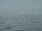 Empord�