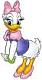 deisy