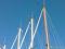 ZestSail
