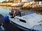 delfin63