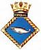 Rorqual