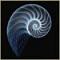 El Nautilus