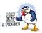 Puffin