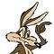 coyote III