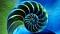 ElNautilus