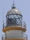 genoves