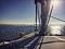 Atlanticus