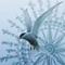 S.Maturin