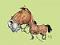 Poni