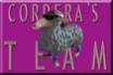Avatar de Cordera�s Team